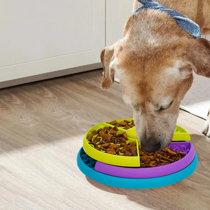 Mangeoire puzzle lente pour animaux de compagnie